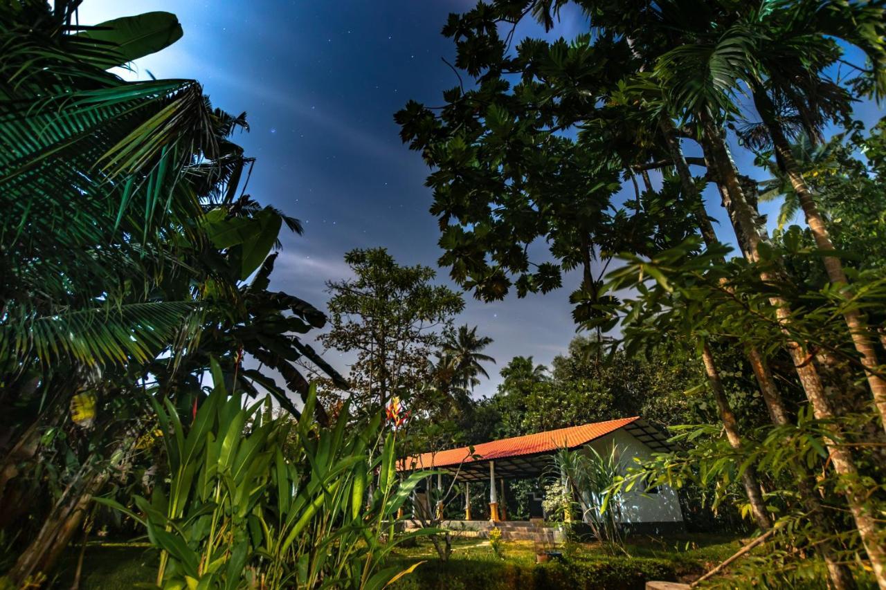 Coconut Villa Midigama East Dış mekan fotoğraf