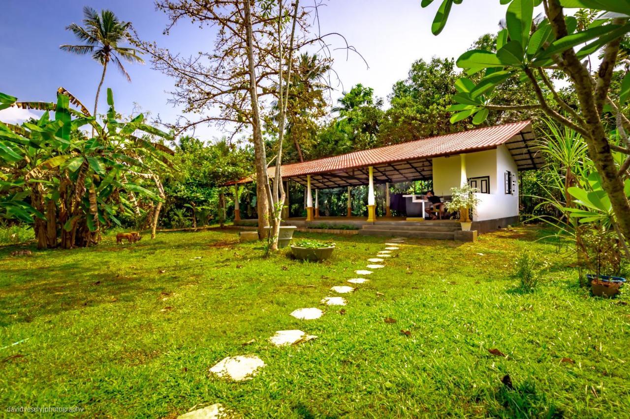 Coconut Villa Midigama East Dış mekan fotoğraf