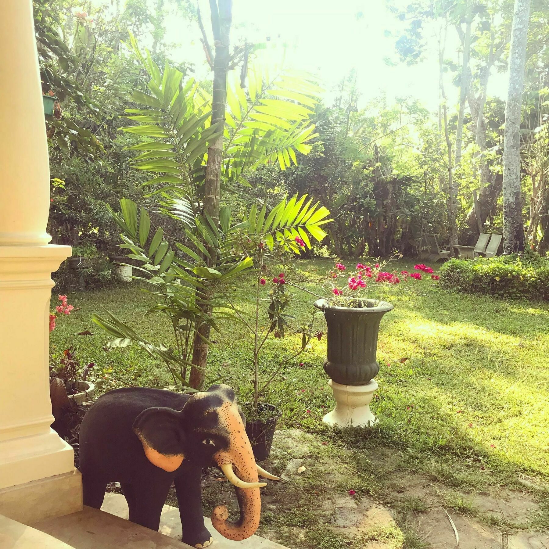 Coconut Villa Midigama East Dış mekan fotoğraf